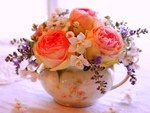  Cup of roses