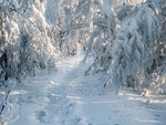 siberian winter