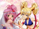shugo chara genies