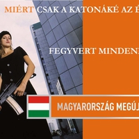 guns for everyone (getting for civil war)