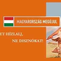 Only the pig allows control by blonde