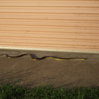 size really doesnt count