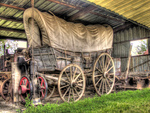 Covered Wagon