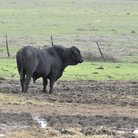 You want to do what?