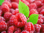 Raspberries