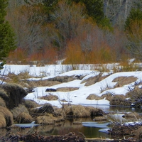River Bank During Winter