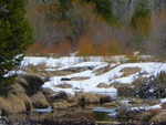 River Bank During Winter