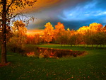 Pond in autumn