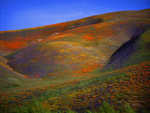 colourful hills