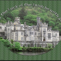 "May The Luck of The Irish Be With You"