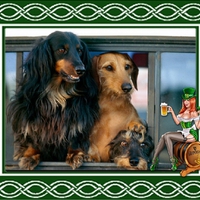 Three Dogs and a Lass