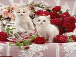kittens among flowers