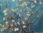 Vincent van Gogh - Almond Blossom