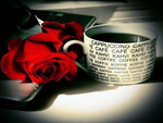 coffee & roses in the morning