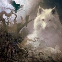 I'm not affraid in these woods