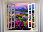 Window to heaven