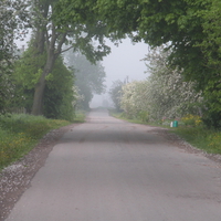 road through the village