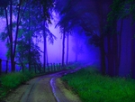ROAD TO THE MISTY FOREST