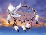 Peace dove dreamcatcher