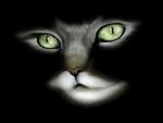 Greeneyed Feline