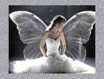 Angel-Bride