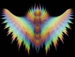 Rainbow Feathers