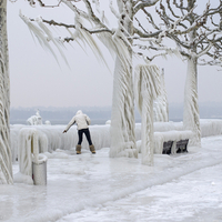 ~Naturally formed sculptures ~