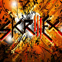 Skrillex Custom Graphic