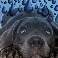 Oh no... verry big drops of rain