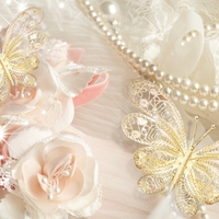 Elegance for Evening