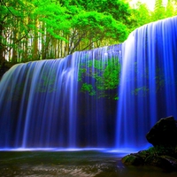 FOREST WATERFALLS