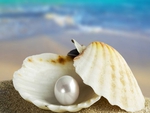 I Found this Pearl in the Sea for You