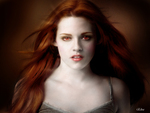 The New Look {Bella Cullen}