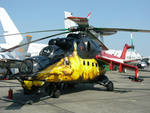 Mi-24 Hind with Unique Paint Scheme