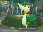 Verdant Court: Snivy