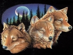 3 moon wolves in a row