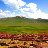 Deosai - One of the Hihgest Places in World