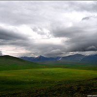 Deosai - One of the Highest Places in World