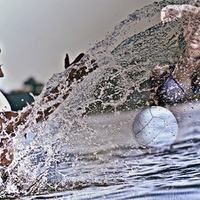 This is not a fair game your playing..