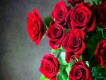 Roses For You: Susan, Marianne, Alexandra